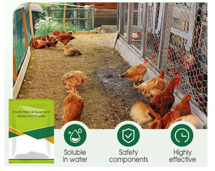 Poultry Farm & Equipment Disinfiecant Powder 200 gm Pack of 2