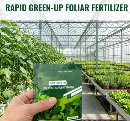 Rapid Green-Up Foliar Fertilizer 50gm Each (Pack of 1)