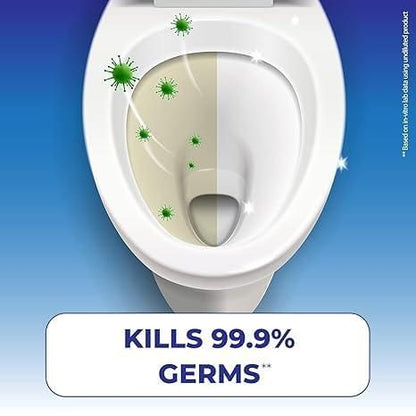 Toilet Cleaning Agent Powder Foaming 500 gm (Pack of 1)