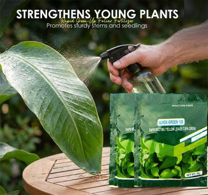 Rapid Green-Up Foliar Fertilizer 50gm Each (Pack of 1)