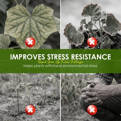 Rapid Green-Up Foliar Fertilizer 50gm Each (Pack of 1)