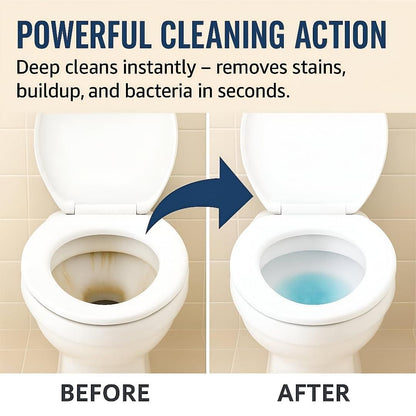 Toilet Cleaning Agent Powder Foaming 500 gm (Pack of 1)