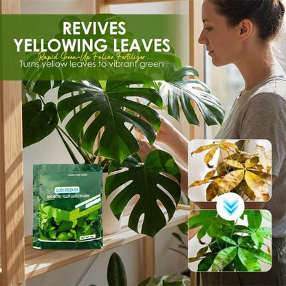 Rapid Green-Up Foliar Fertilizer 50gm Each (Pack of 1)