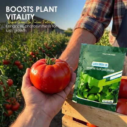 Rapid Green-Up Foliar Fertilizer 50gm Each (Pack of 1)